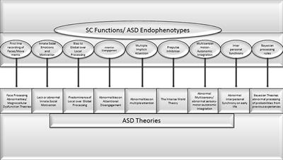 The “Primitive Brain Dysfunction” Theory of Autism: The Superior Colliculus Role